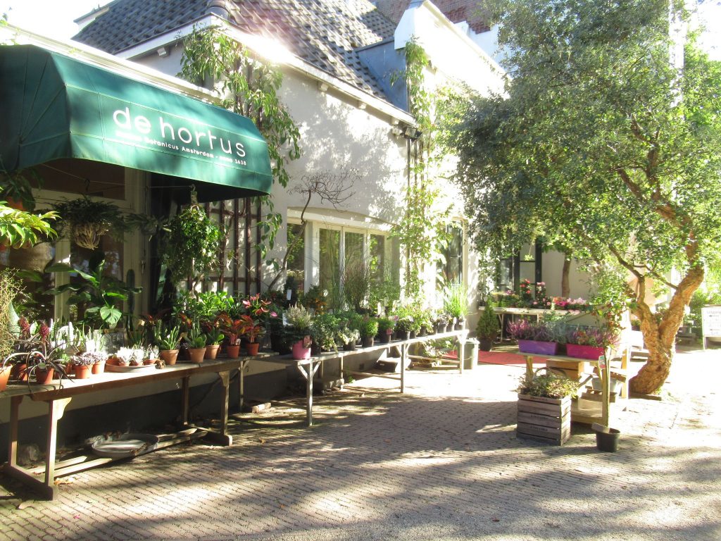 アムステルダム植物園の苗売り場