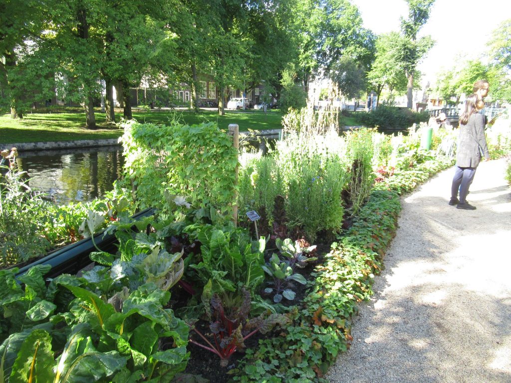 アムステルダム植物園のキッチンガーデン